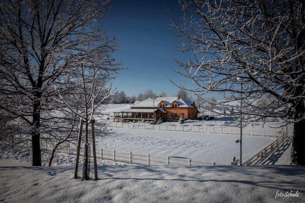 Hotel Horse Riding - Jezdecky Areal Tršice المظهر الخارجي الصورة