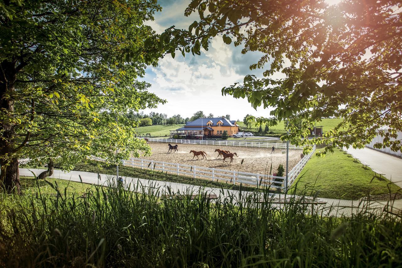 Hotel Horse Riding - Jezdecky Areal Tršice المظهر الخارجي الصورة