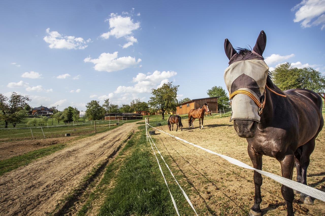 Hotel Horse Riding - Jezdecky Areal Tršice المظهر الخارجي الصورة