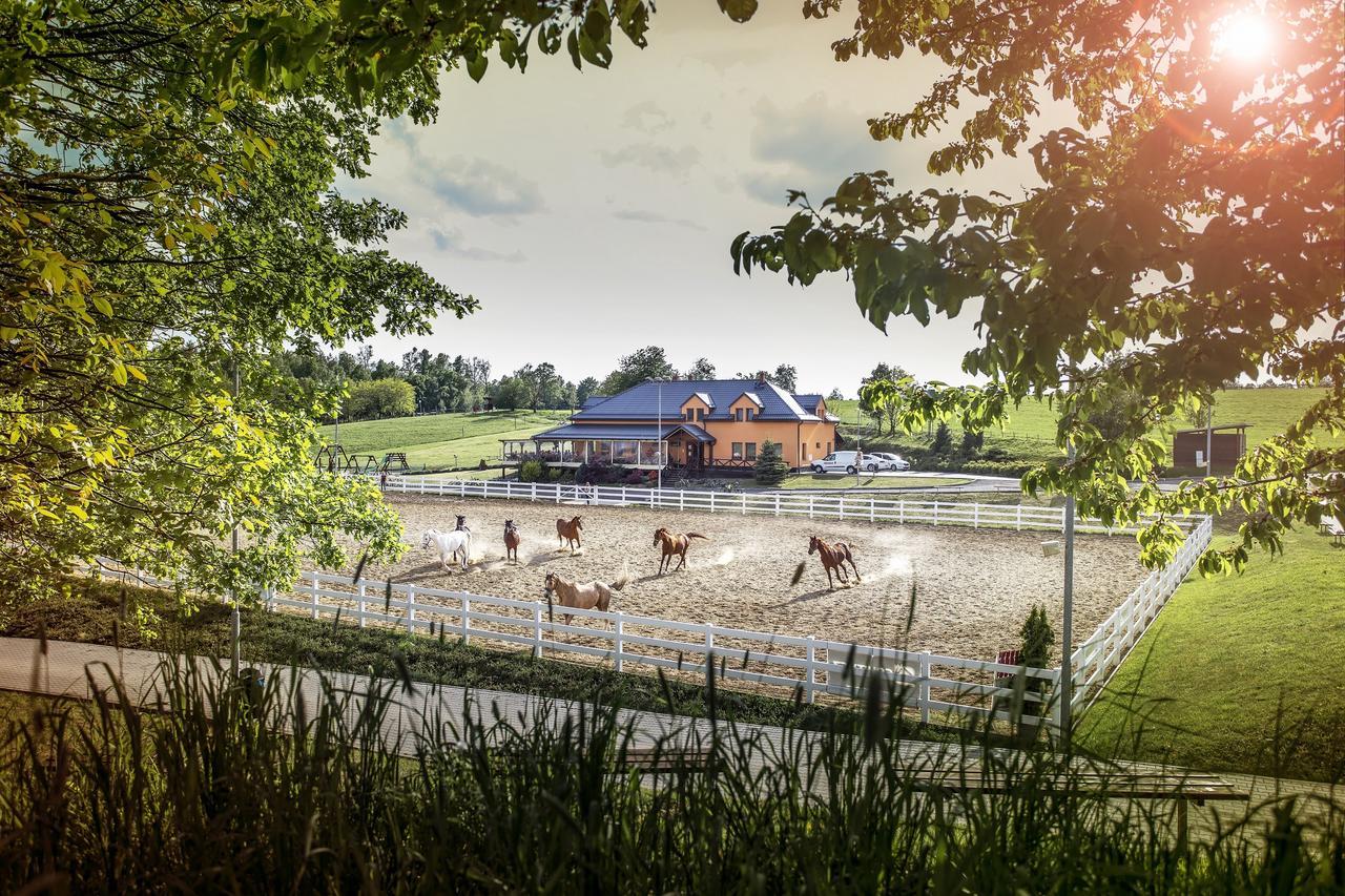 Hotel Horse Riding - Jezdecky Areal Tršice المظهر الخارجي الصورة