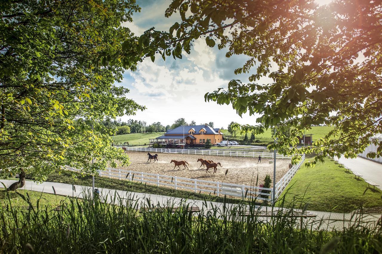 Hotel Horse Riding - Jezdecky Areal Tršice المظهر الخارجي الصورة